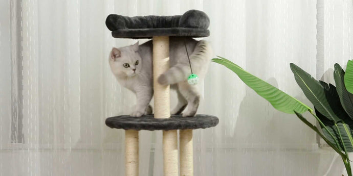 Why to Choose Cat Tree Houses For Your Cat?